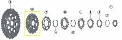 Shimano - Pignons Pour Cassette XT CS-M8000 11-40 | 11-42 | 11-46 -Accessoires Vélo Soldes shimano ritzel cs m8000 y1rk98020 y1rk98320 3840x2160 3840x2160